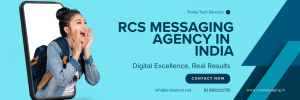 Bulk SMS Company